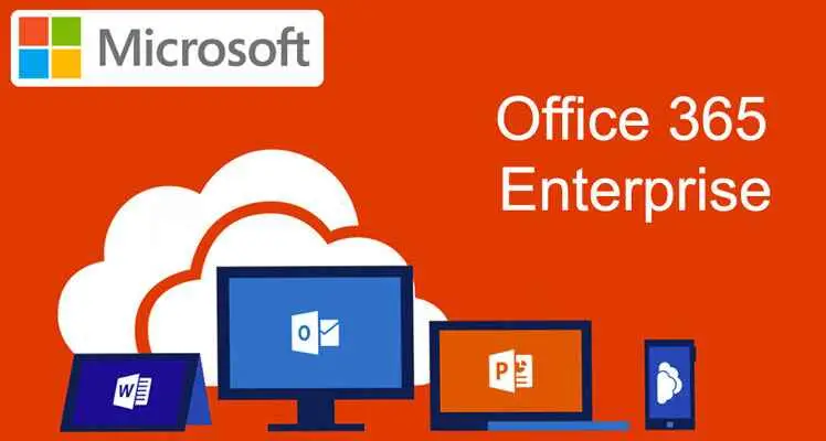 ms office 365 license for small business